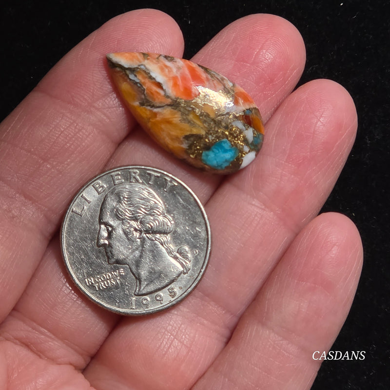 Spiny Oyster and Kingman Turquoise Composite Cabochon