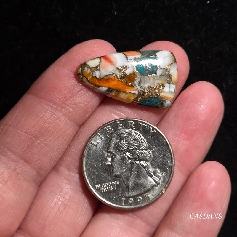 Spiny Oyster and Kingman Turquoise Composite Cabochon
