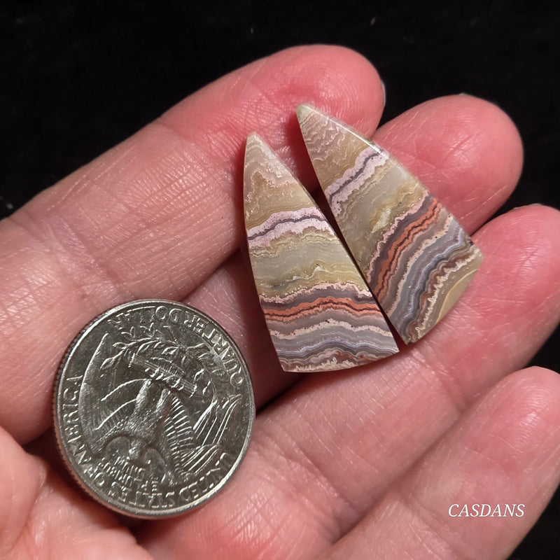 Lace Agate Cabochon Pair