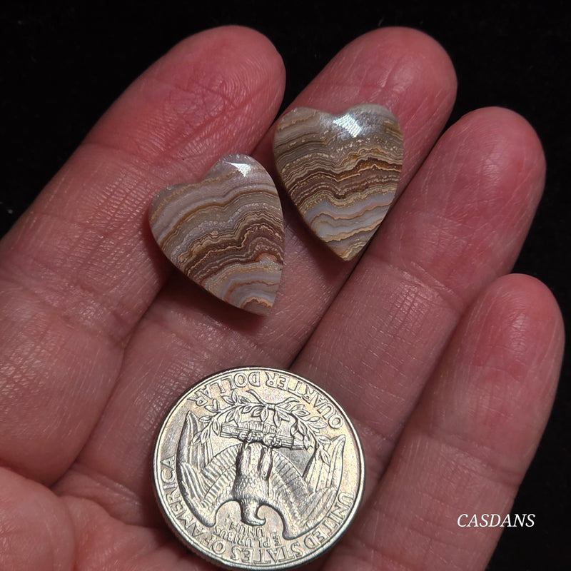 Lace Agate Cabochon Pair