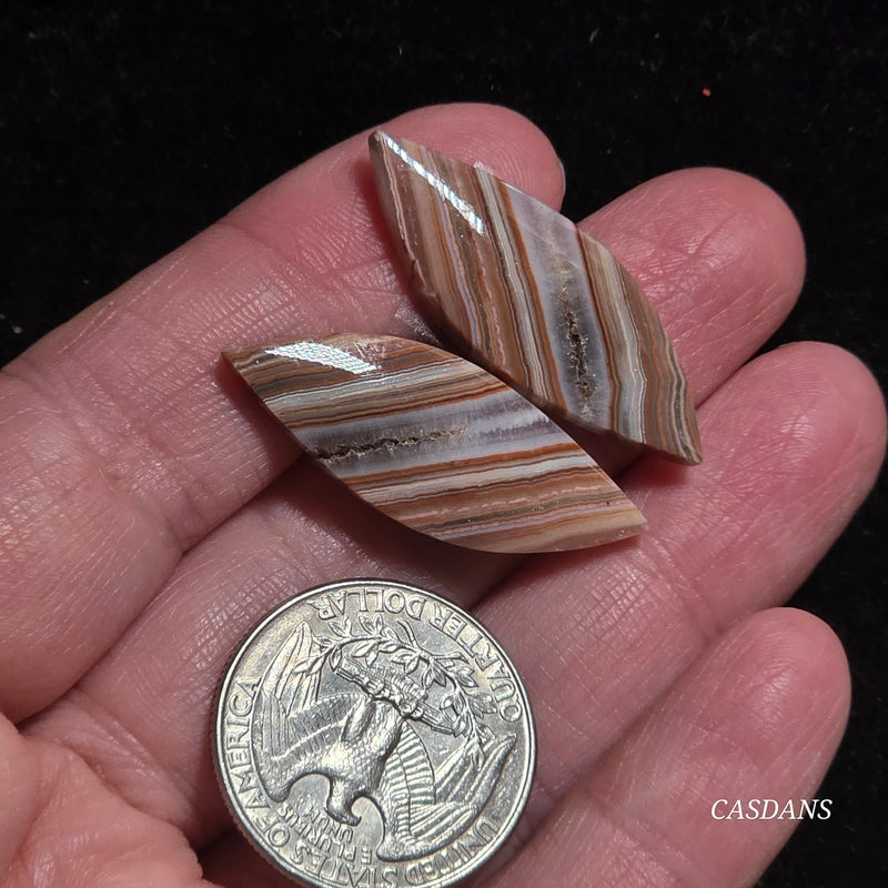 Lace Agate Cabochon Pair