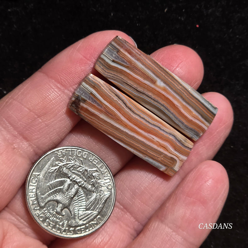 Lace Agate Cabochon Pair