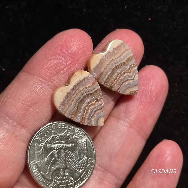 Lace Agate Cabochon Pair