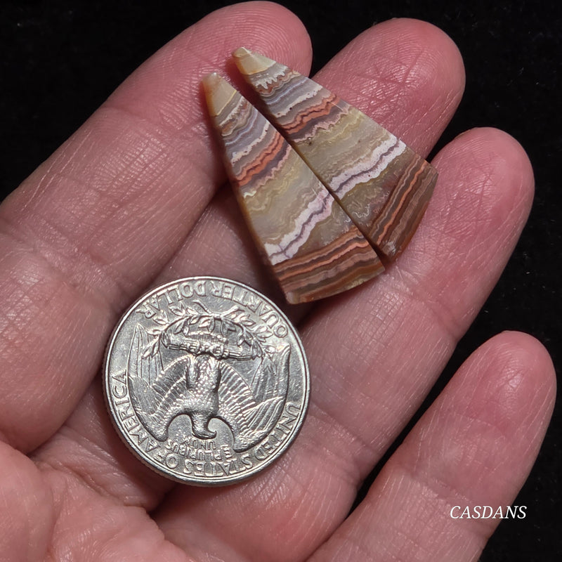 Lace Agate Cabochon Pair