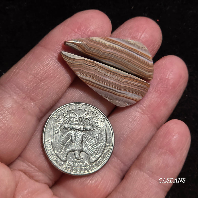 Lace Agate Cabochon Pair
