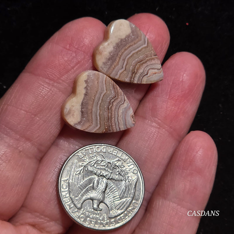 Lace Agate Cabochon Pair