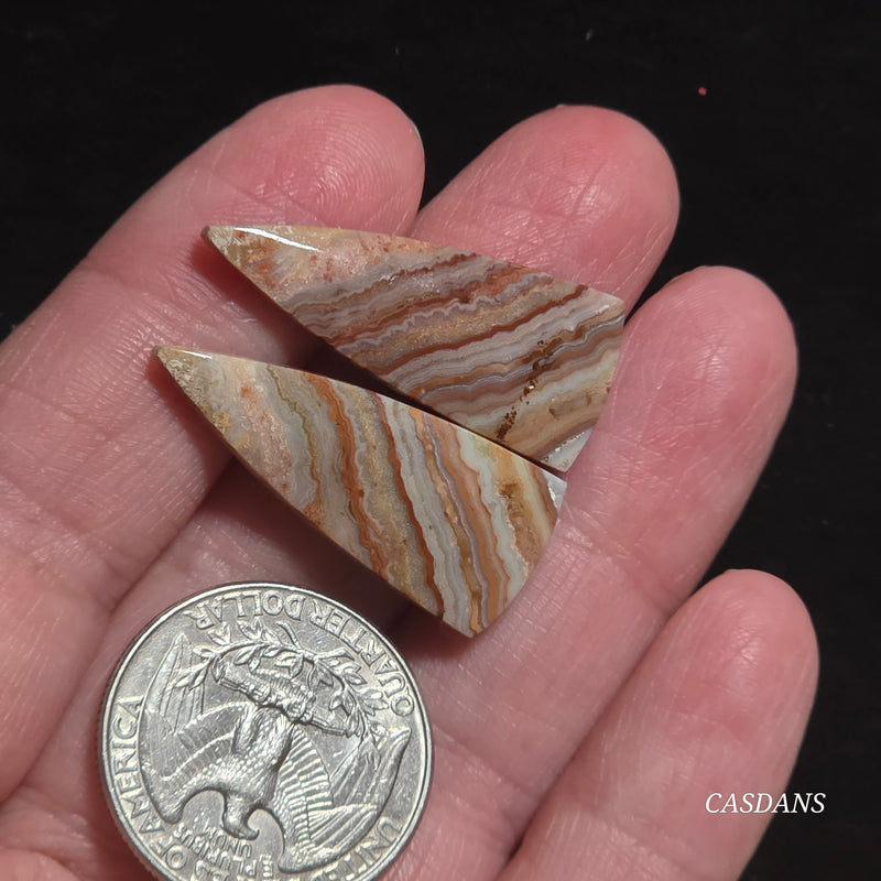Lace Agate Cabochon Pair
