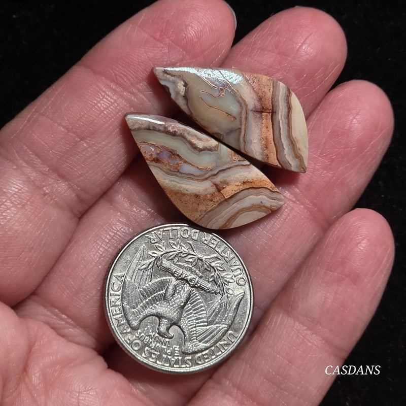 Lace Agate Cabochon Pair