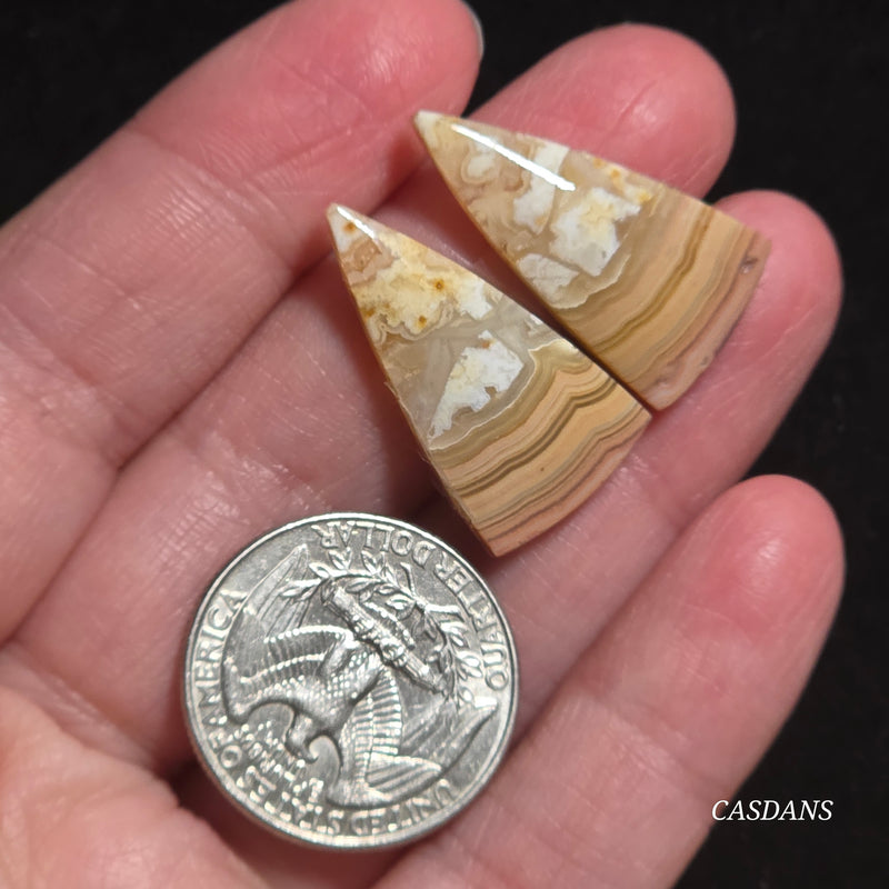 Lace Agate Cabochon Pair