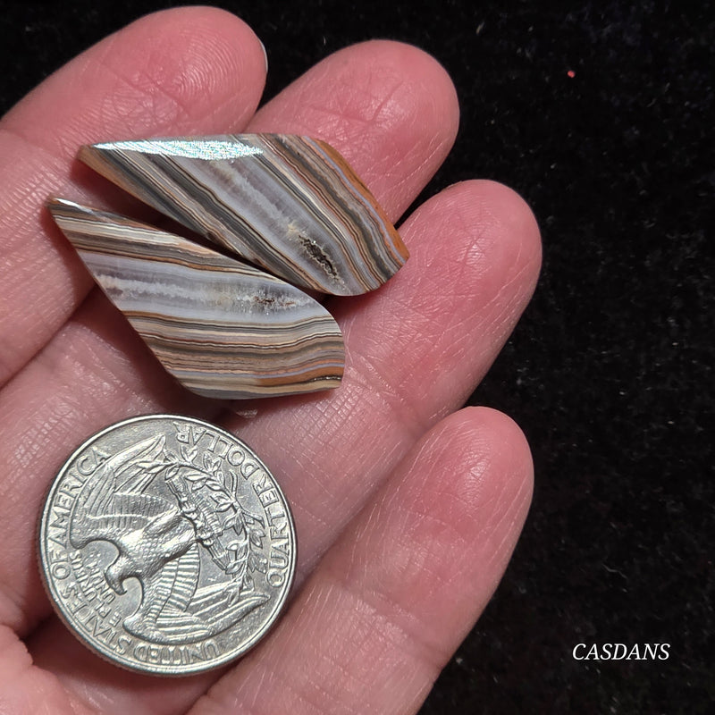 Lace Agate Cabochon Pair