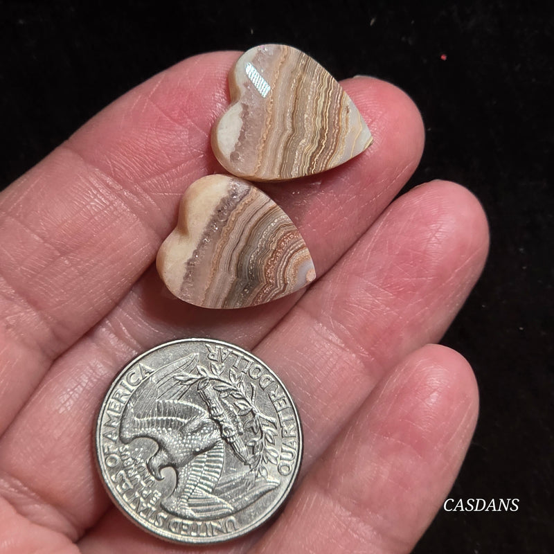 Lace Agate Cabochon Pair