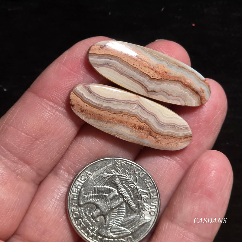 Lace Agate Cabochon Pair