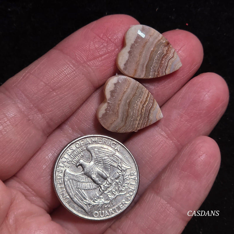 Lace Agate Cabochon Pair