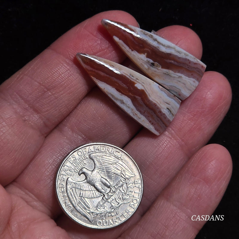 Lace Agate Cabochon Pair