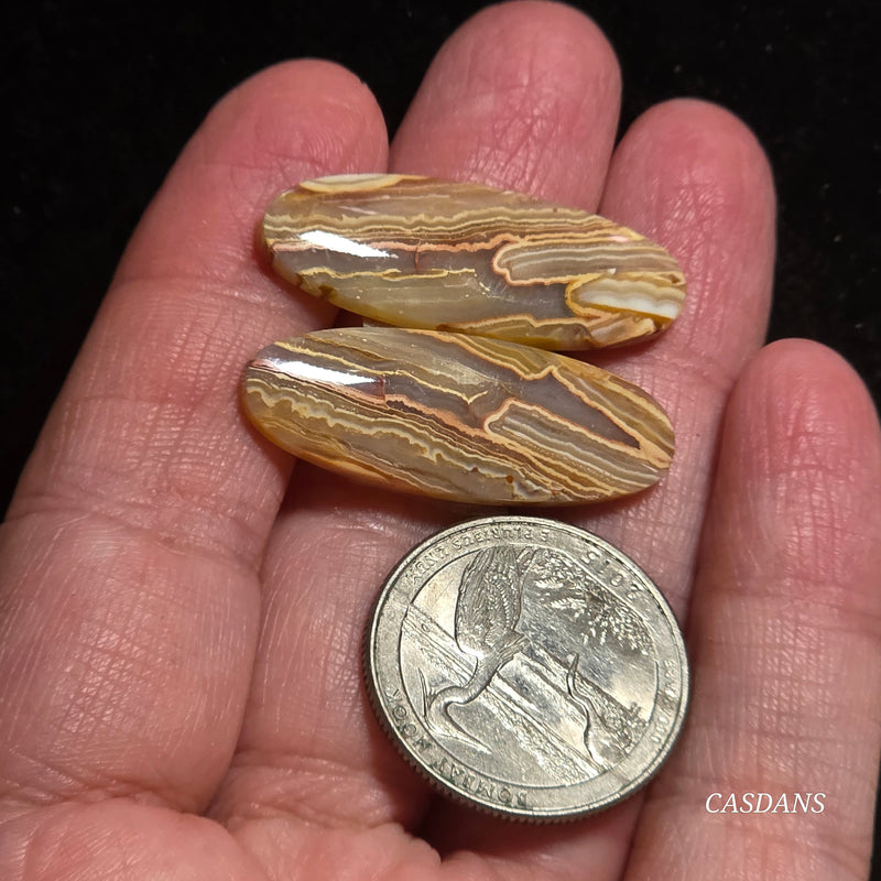 Lace Agate Cabochon Pair