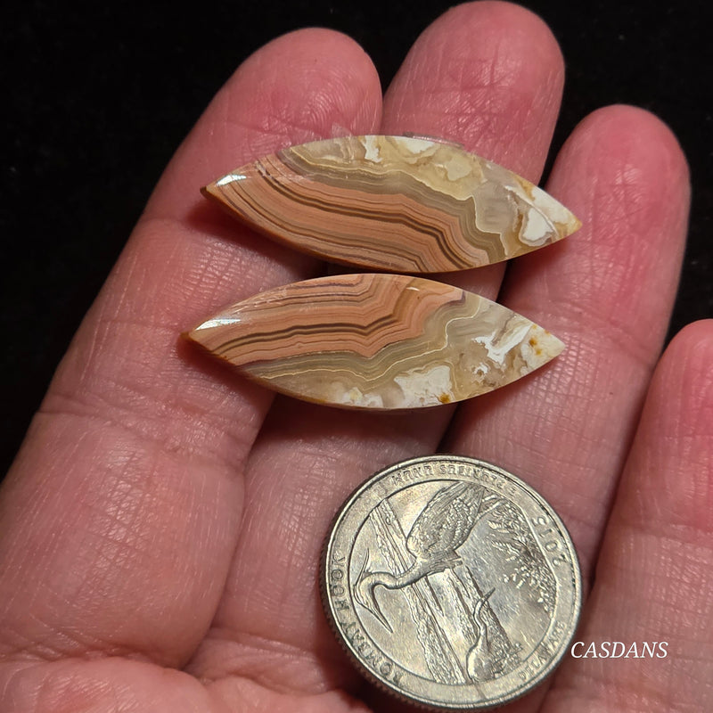 Lace Agate Cabochon Pair