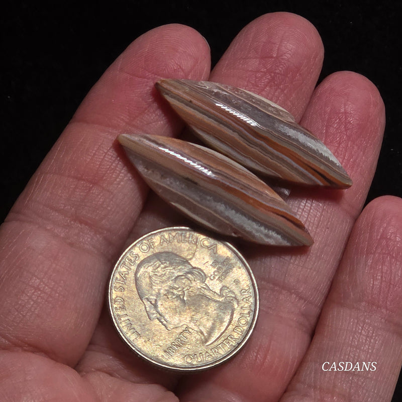 Lace Agate Cabochon Pair