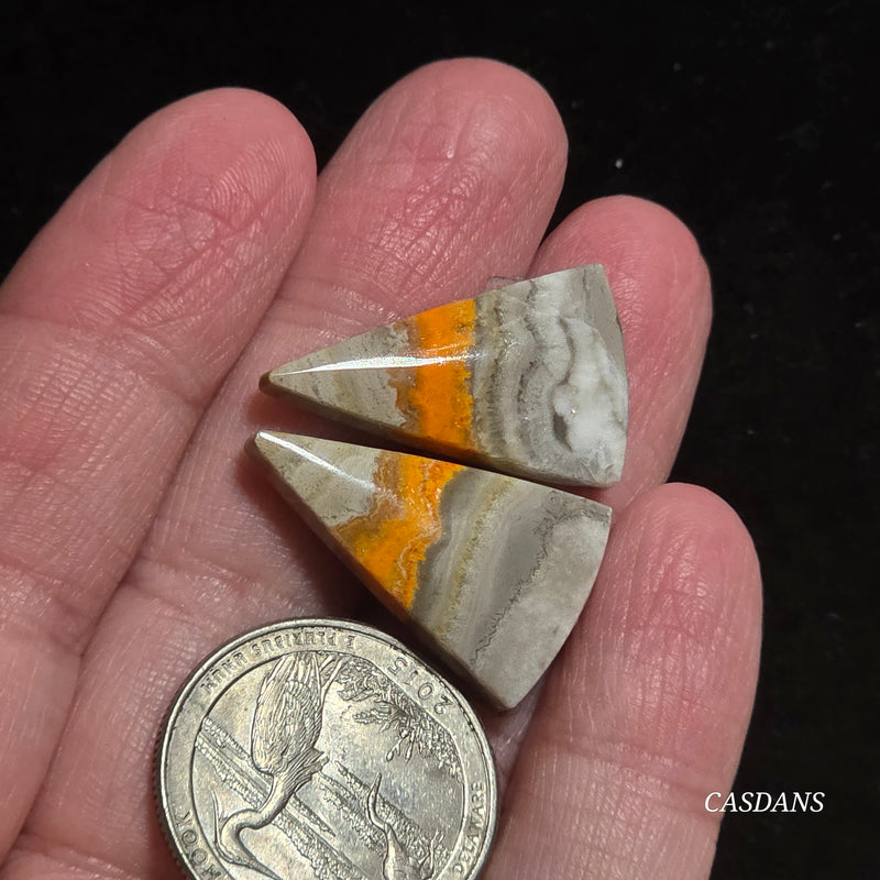 Bumblebee Jasper Cabochon Pair