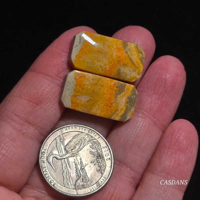 Bumblebee Jasper Cabochon Pair