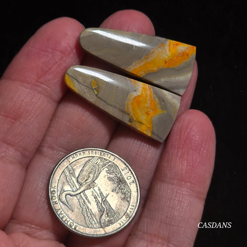 Bumblebee Jasper Cabochon Pair