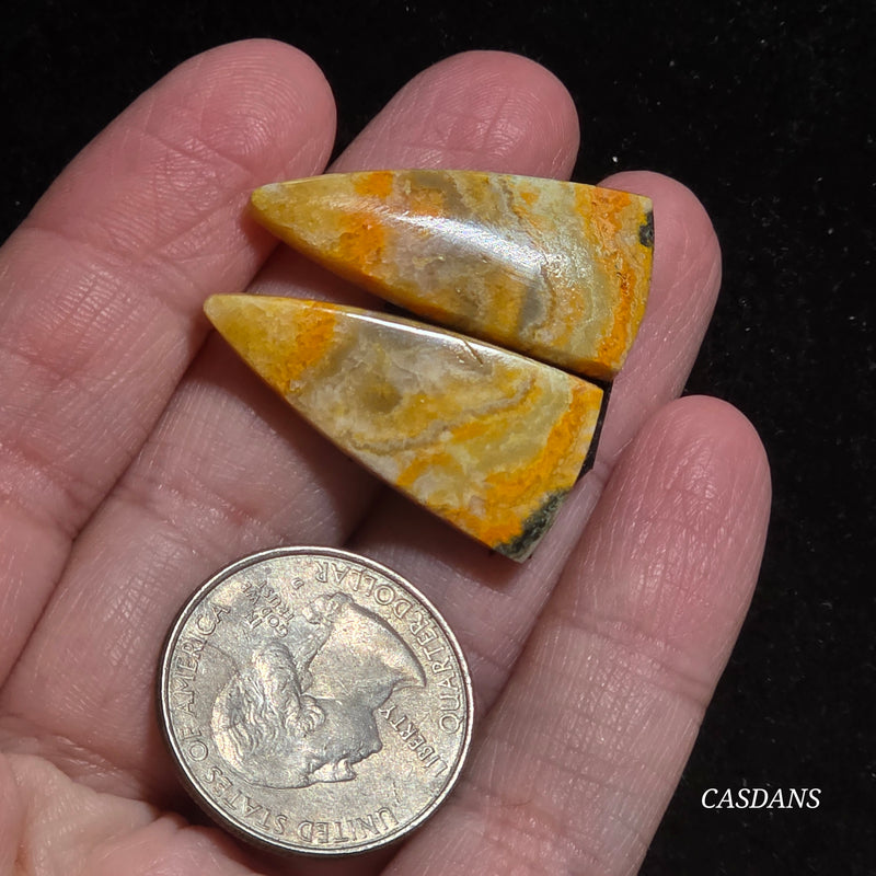 Bumblebee Jasper Cabochon Pair