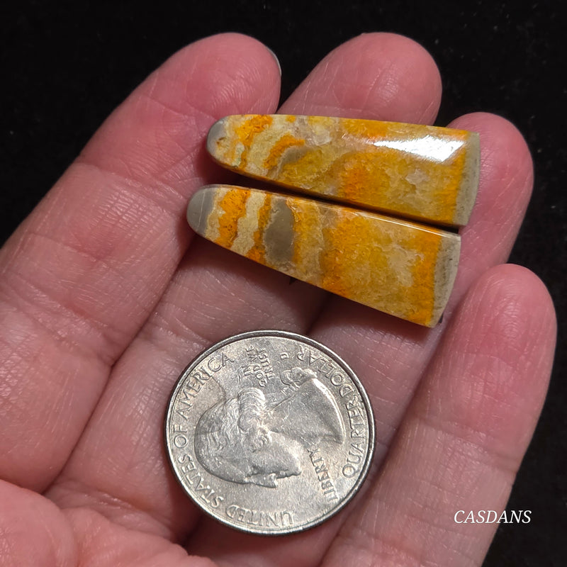 Bumblebee Jasper Cabochon Pair