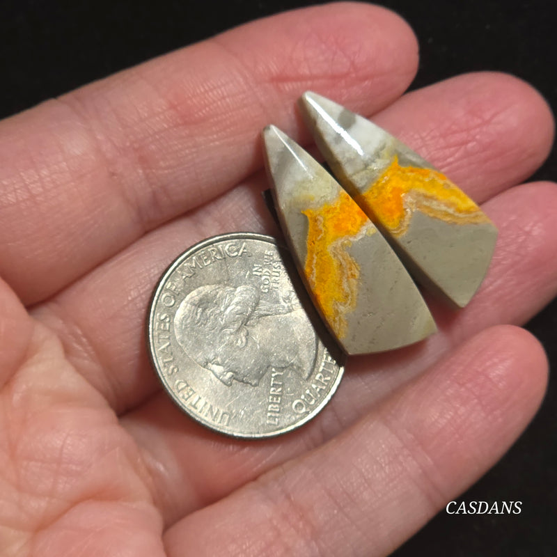 Bumblebee Jasper Cabochon Pair