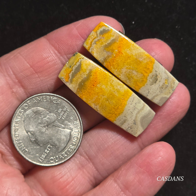 Bumblebee Jasper Cabochon Pair