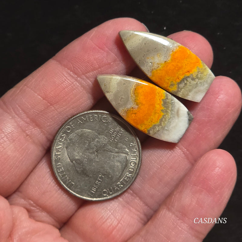 Bumblebee Jasper Cabochon Pair