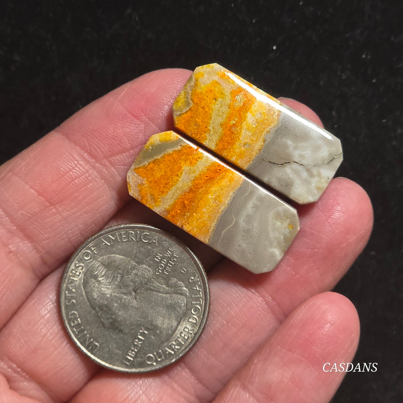 Bumblebee Jasper Cabochon Pair