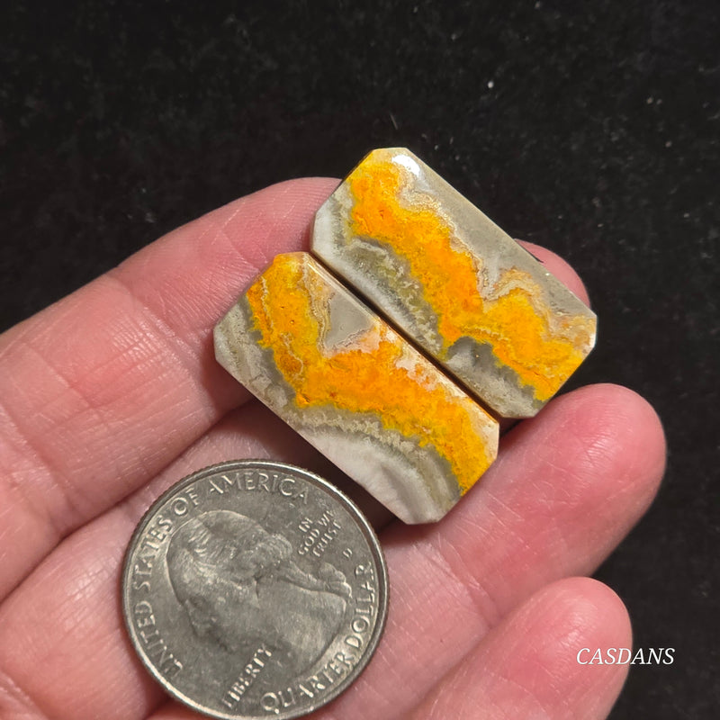 Bumblebee Jasper Cabochon Pair