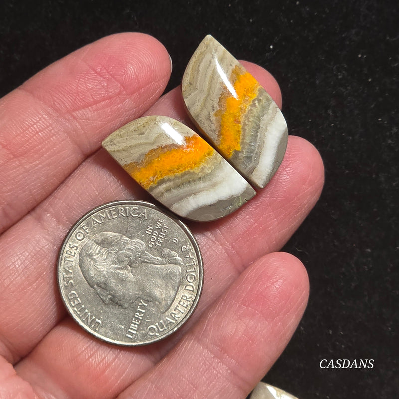 Bumblebee Jasper Cabochon Pair