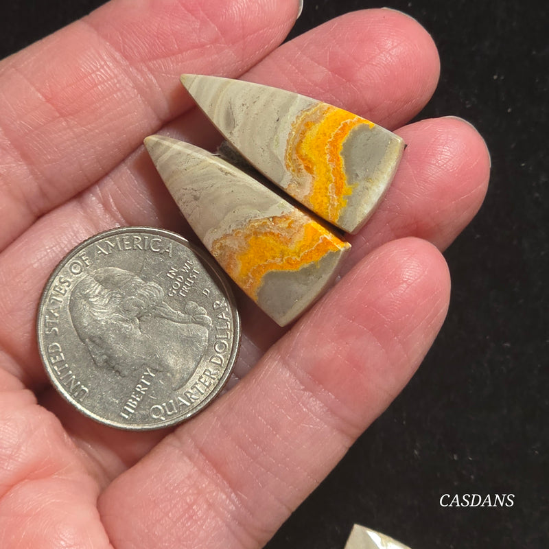 Bumblebee Jasper Cabochon Pair