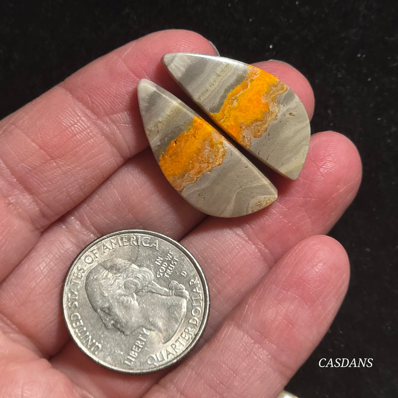 Bumblebee Jasper Cabochon Pair