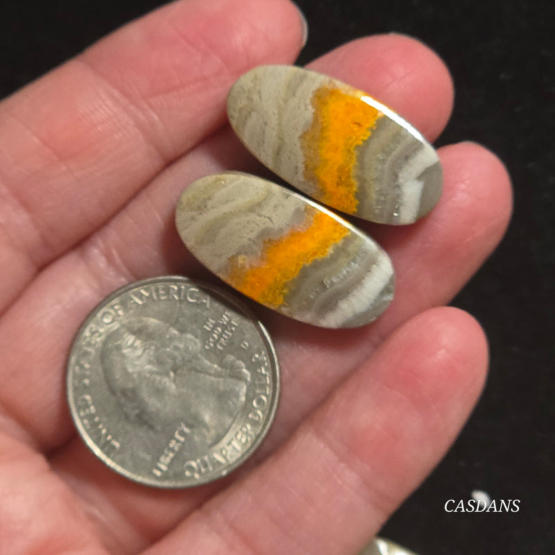 Bumblebee Jasper Cabochon Pair