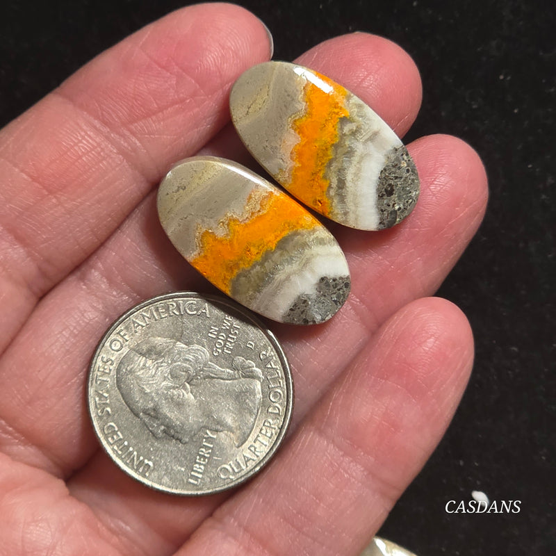 Bumblebee Jasper Cabochon Pair