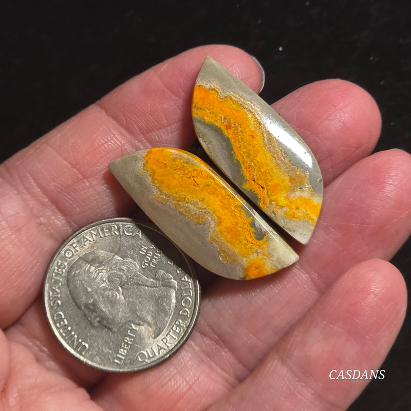 Bumblebee Jasper Cabochon Pair