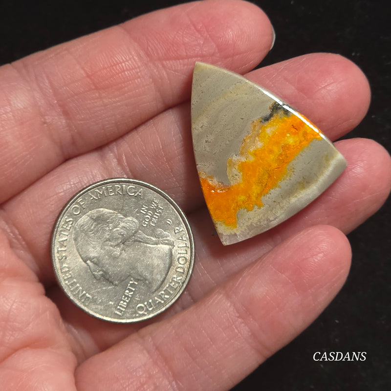 Bumblebee Jasper Cabochon