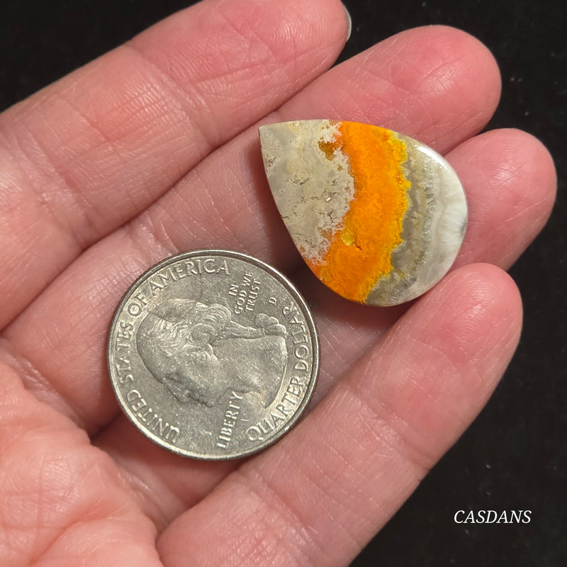 Bumblebee Jasper Cabochon
