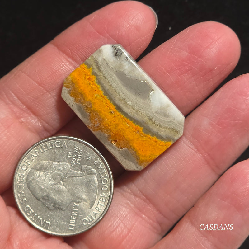 Bumblebee Jasper Cabochon