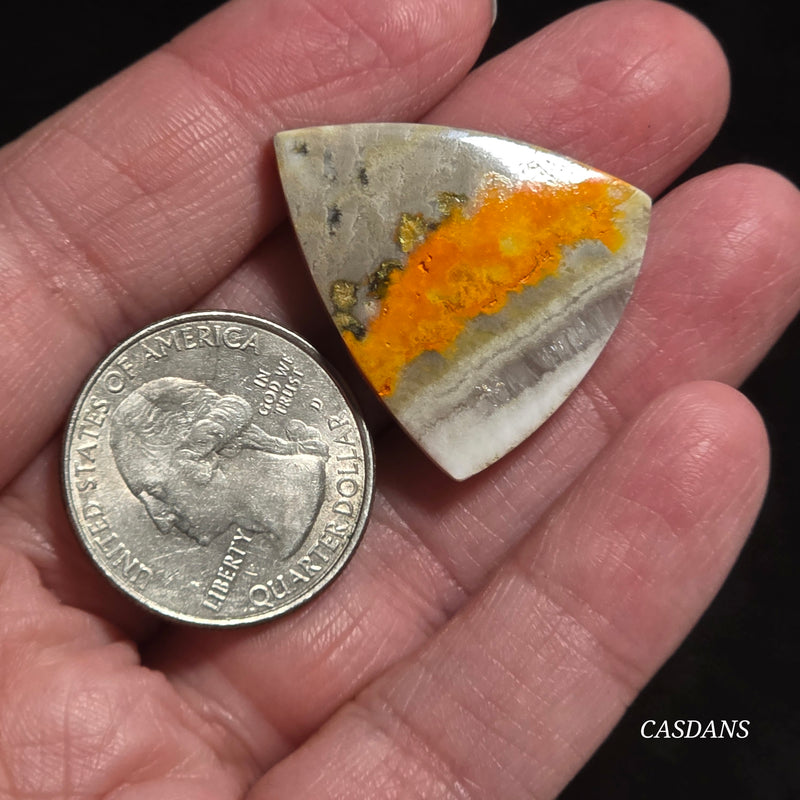 Bumblebee Jasper Cabochon