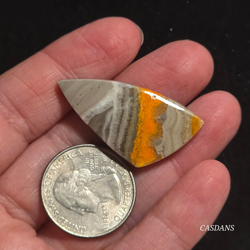 Bumblebee Jasper Cabochon