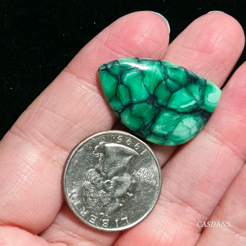 Black Bridge Variscite Cabochon