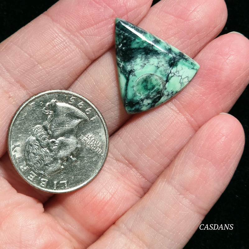 Black Bridge Variscite Cabochon