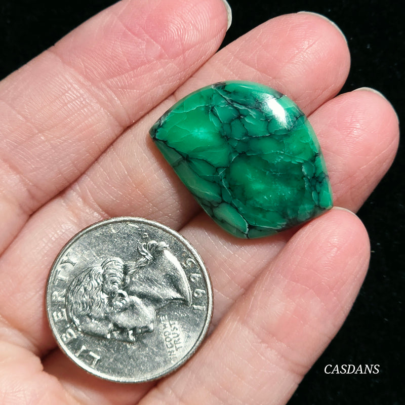 Black Bridge Variscite Cabochon