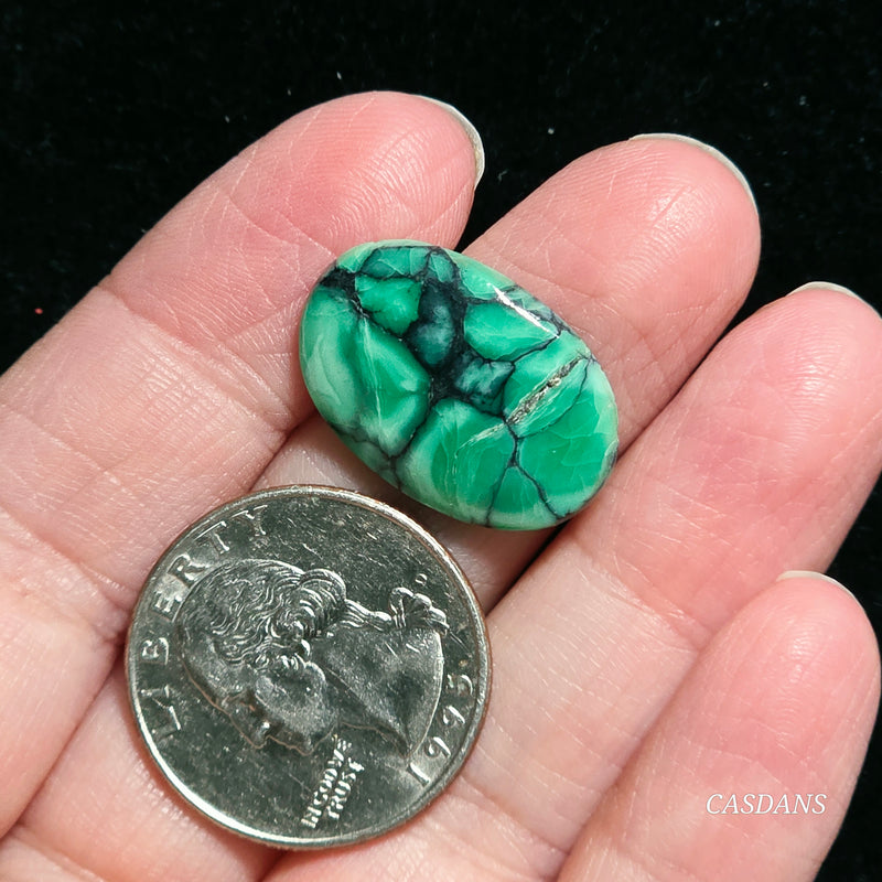 Black Bridge Variscite Cabochon