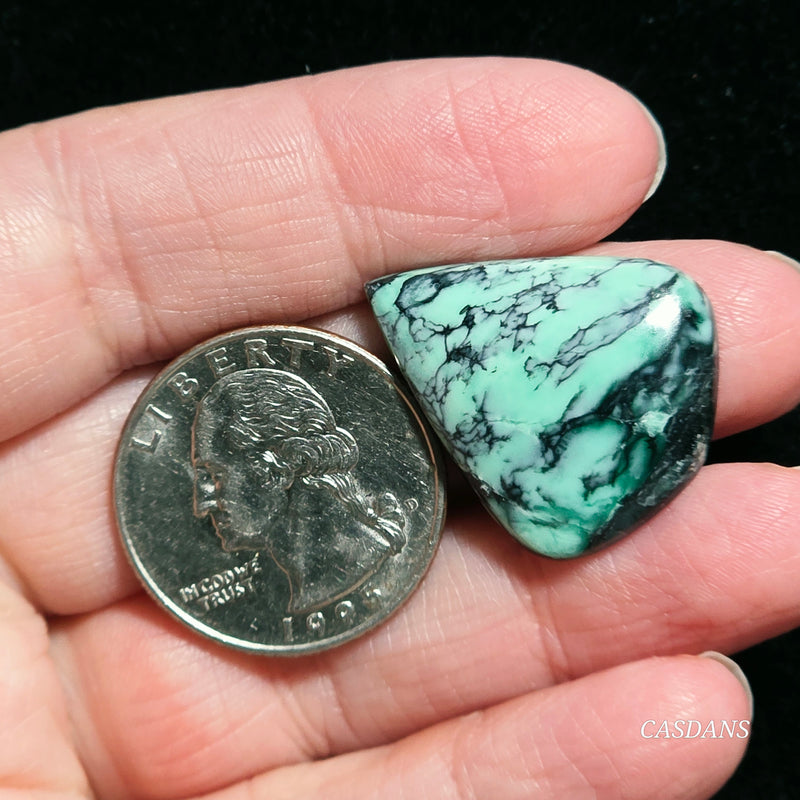Black Bridge Variscite Cabochon