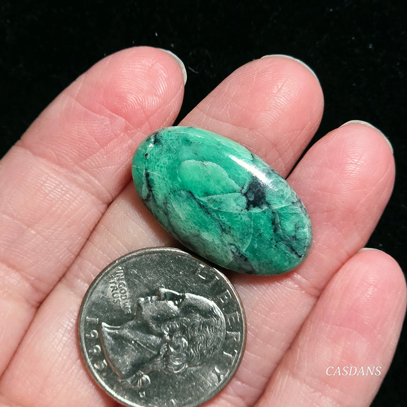 Black Bridge Variscite Cabochon