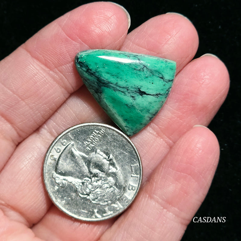 Black Bridge Variscite Cabochon