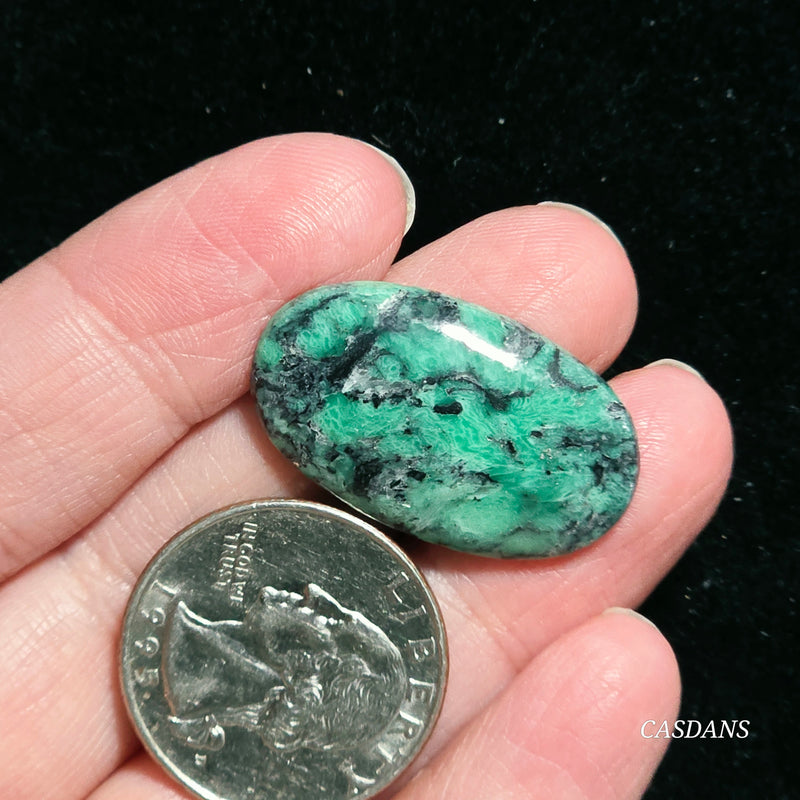 Black Bridge Variscite Cabochon